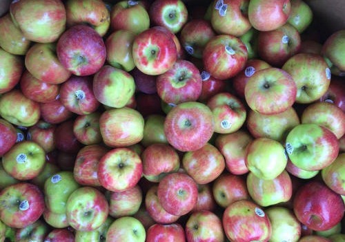 Click to view more Apples Produce