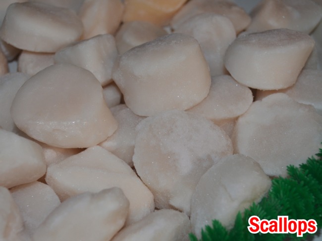 Click to view more Scallops Seafood