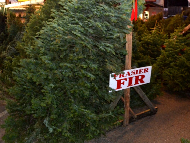 Click to view more Christmas Trees Seasonal Holiday Items