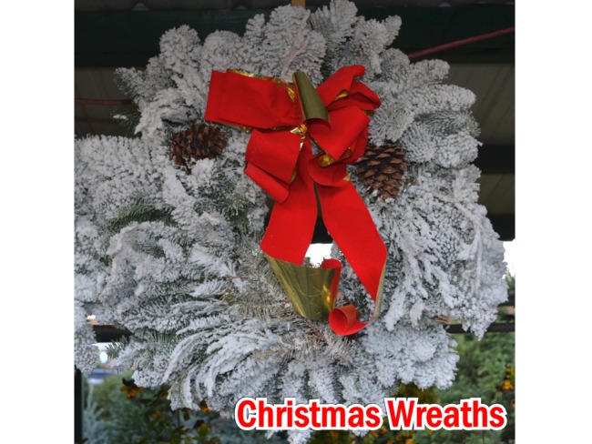 Click to view more Christmas Wreaths Seasonal Holiday Items