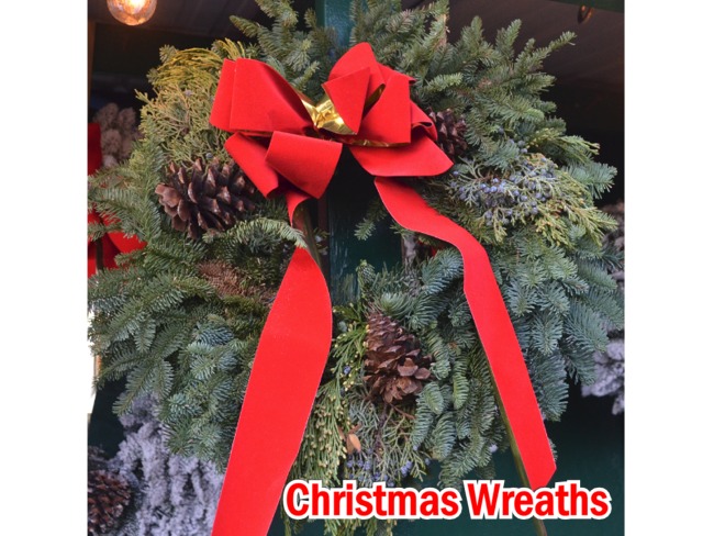 Green Noble Fir Christmas Wreaths