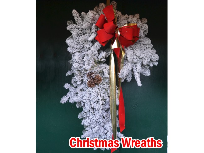 Candy Cane Noble Fir Christmas Wreaths