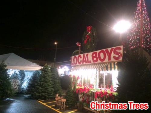 Click to view more Christmas Trees Seasonal Holiday Items